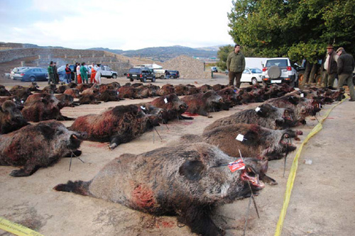Monteria en Navaquejigo